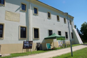 DSC 0983